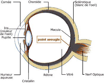 Une image contenant texte, carte

Description générée automatiquement