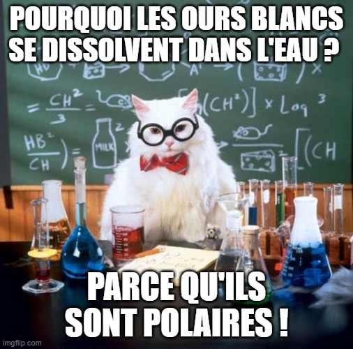 Une image contenant texte

Description générée automatiquement