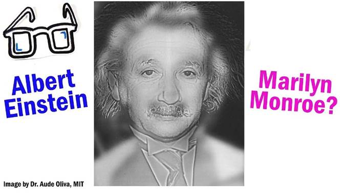 Une image contenant texte, Visage humain, sourcil, mâchoire

Description générée automatiquement